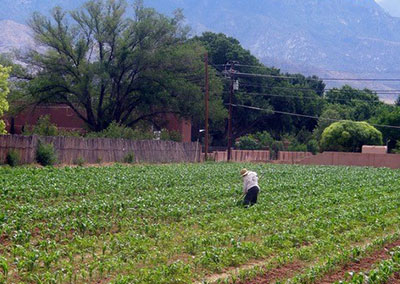 New Mexico Coalition to Enhance Working Lands (NM CEWL)