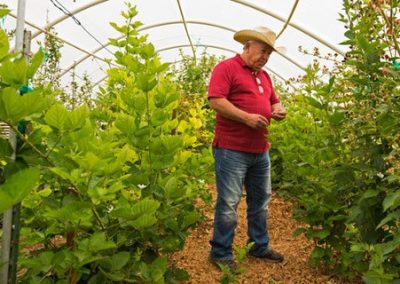 Seeding Regenerative Agriculture for New Mexico