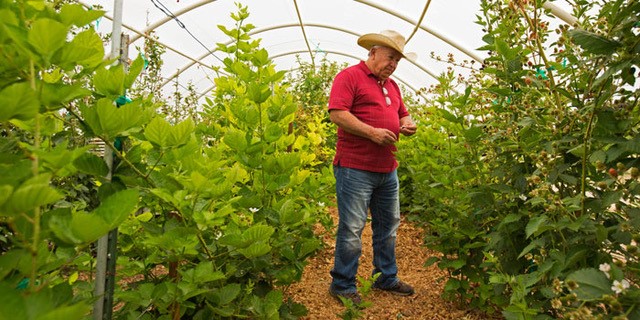 Seeding Regenerative Agriculture for New Mexico